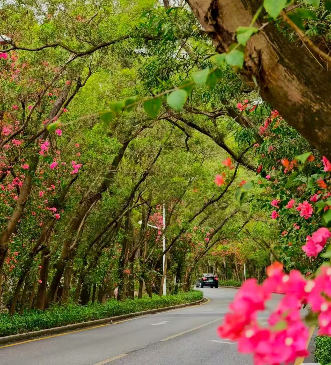 Shenzhen view 3